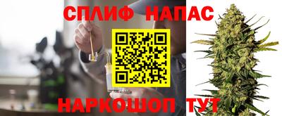 apvp Моздок