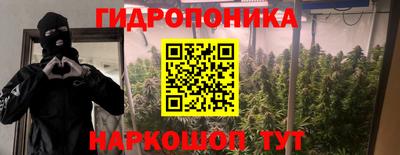 apvp Моздок