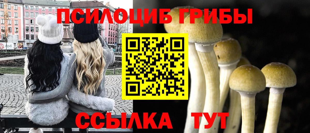 Белово  Галлюциногенные грибы Magic Shrooms  как найти наркотики  Вход с VPN 