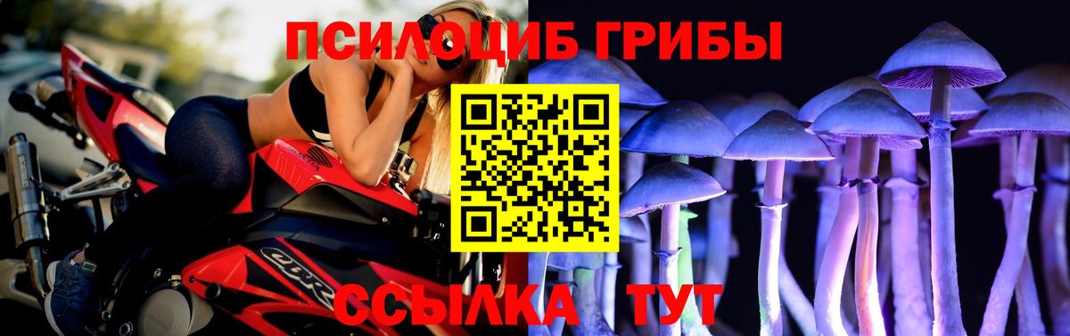 Галлюциногенные грибы прущие грибы Белово