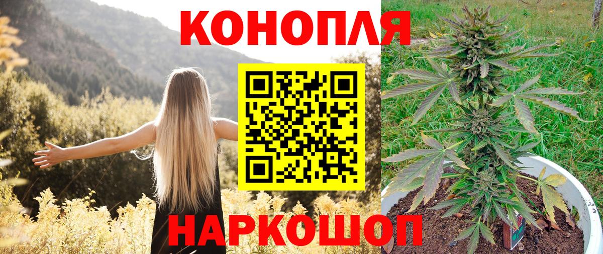 Марихуана сатива  Шишки марихуана Ganja  Марихуана OG Kush  Марихуана White Widow  Вход с VPN  Белово 